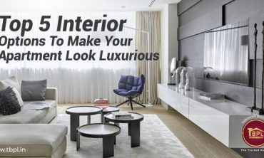 Top 5 Interior Options To Make Your Apartment Look Luxurious