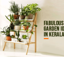 Fabulous Indoor Garden Ideas in Kerala